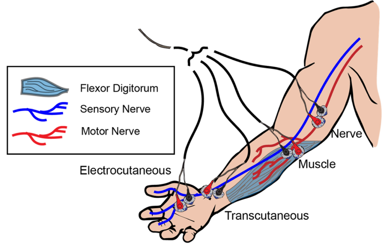 What Is Low Frequency Therapy?