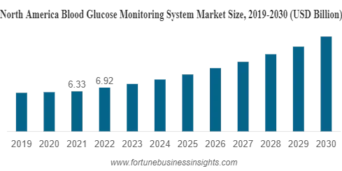 North America Market Size