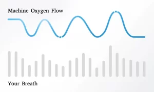 Pulse Flow