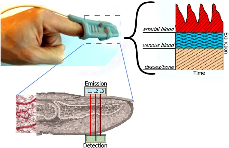 The Principle of A Oximeter